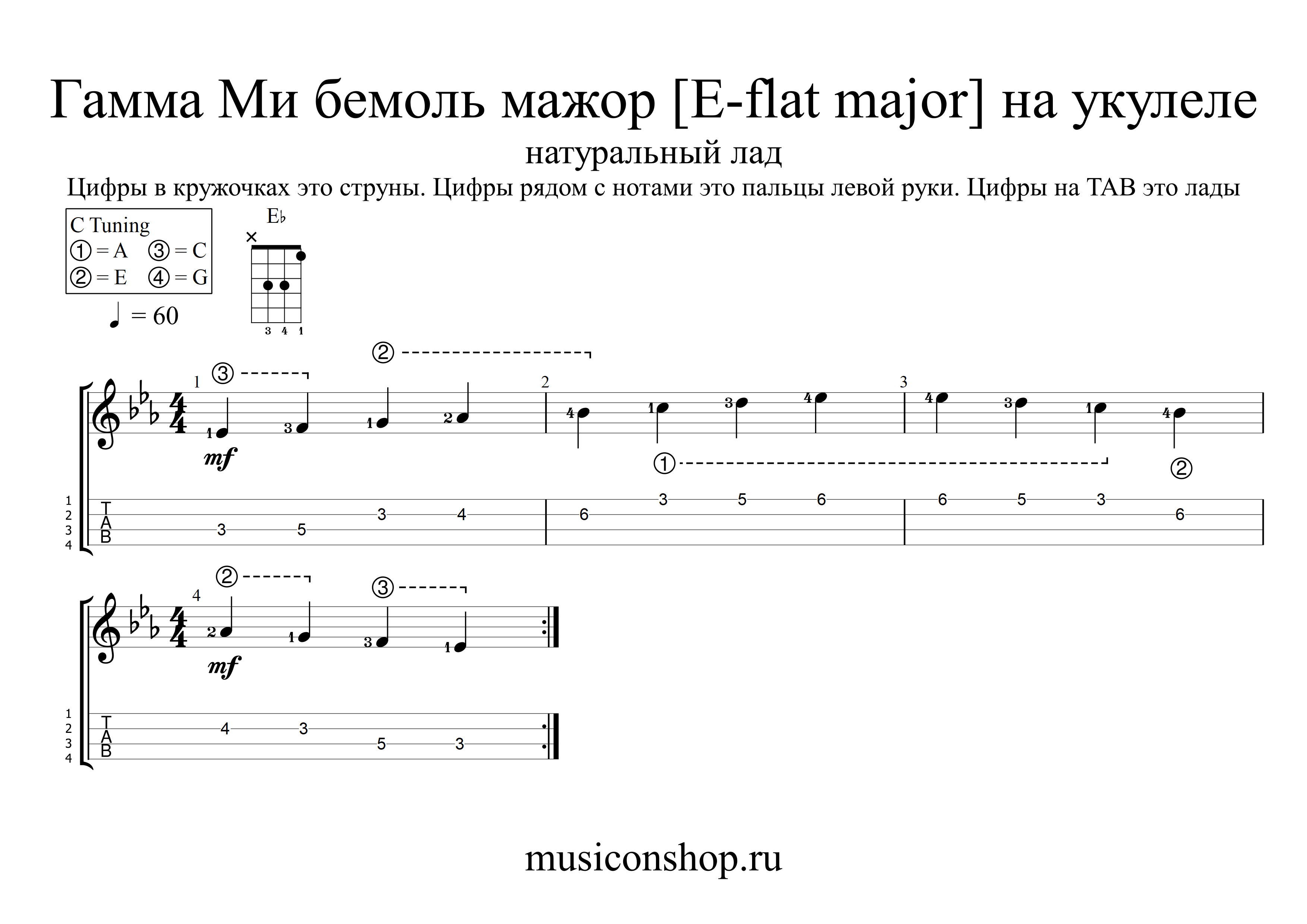 Лады на укулеле это