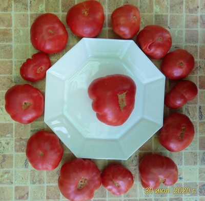 Томат Марманде розовый (Marmande pink)