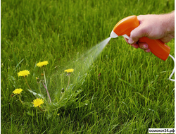 Гербициды (от сорняков)