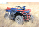 Купить Квадроцикл IRBIS ATV 250S