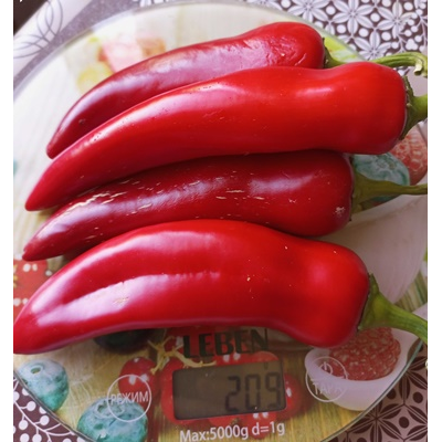 Перец сладкий Сладкий банан (Sweet Banana)