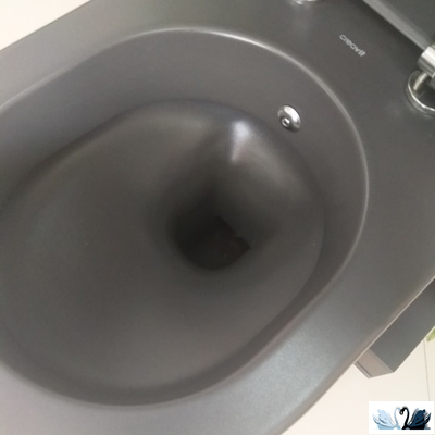 Чаша унитаза Creavit Free Antrasit FE320-00AM00E-0000 подвесная, с функцией биде, графит