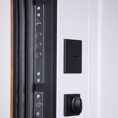 Стальная дверь   Plata (биометрический замок Smart Lock Y12)