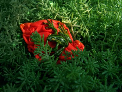 Экзотическая брошь "Тропическая лягушка"