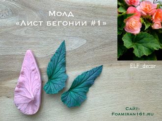 Лепесток бегония