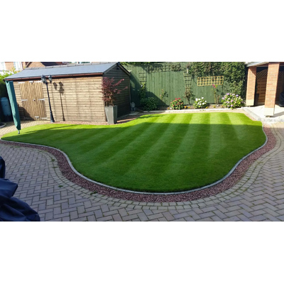 Рулонный газон "Стандарт"