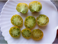 Томат Гном Эми из Огайо (Dwarf Amy’s Ohio)