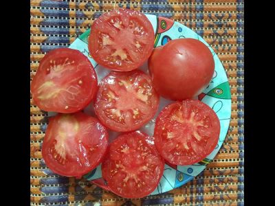 Томат Дендрера (Dendrera, Испания)