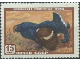 1907. Фауна СССР. Тетерев