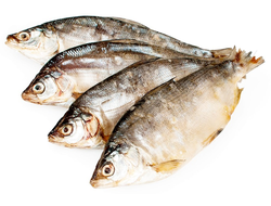 Пелядь вяленая Гигант (вес 120+)