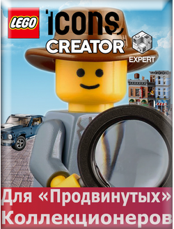 Icons/Creator Expert (12+)