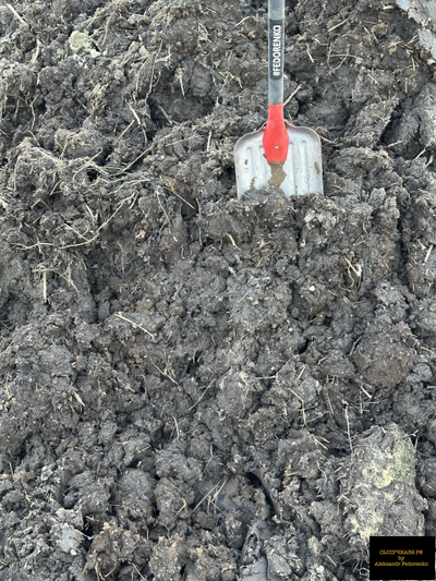 коровий навоз перегной