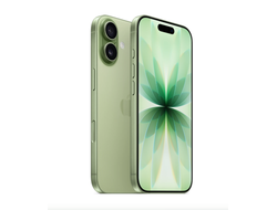 Смартфон Apple iPhone 17 256GB Sage (Зеленый)