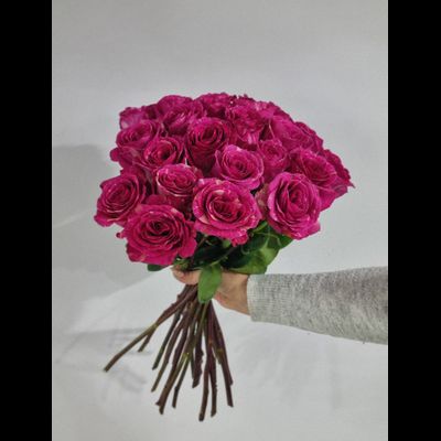 Роза Эквадор 60 см 25 шт