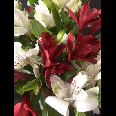 Альстромерия 9 шт