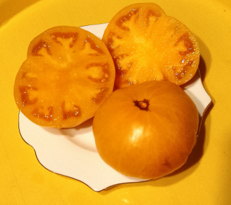 Семена томата Желтая гора Бэрна