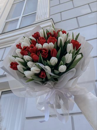 Красные тюльпаны "Поцелуй весны"