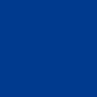 Термопленка &quot;SEF&quot; серия FLEXCUT NYLON 21 ROYAL BLUE, 60 мкм, полиуриетан 100%