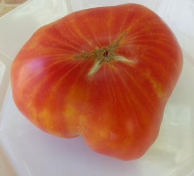 Томат Желто-розовый бабушки Виней (Grandma Viney’s Yellow and Pink, США)