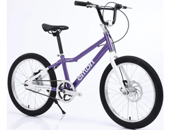 Детский велосипед Timetry TT070, 1ск 20" фиолетовый, рама 12"