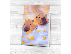 Обложки на паспорт Капибара, Kapibara-san