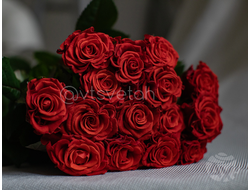 Роза Эль Торо