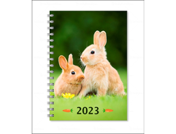 Тетради год Кролика