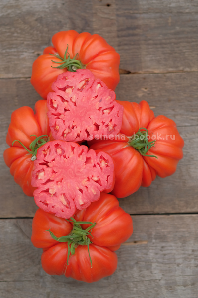 Томат Rim (Рим), 10 шт