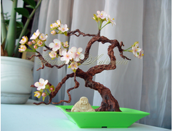 Бонсай Сакура