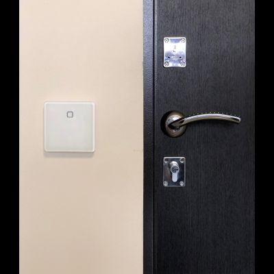 Мастер-кнопка для управления кранами | для серии Neptun Smart