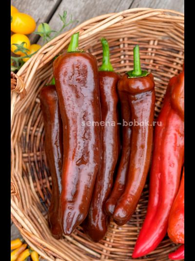 Перец сладкий Палермо Шоколадный, 10 шт