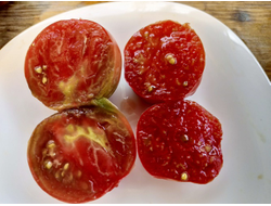 Томат Фиолетовый Оуэна (Owen's Purple), США