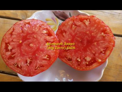 Томат  Бигзарро (Bigzarro), США