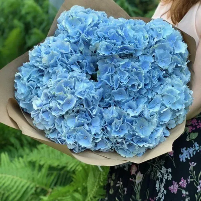 9 розовых гортензий