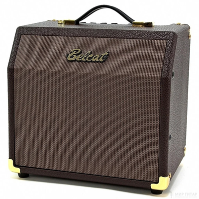 Belcat Acoustic-15C