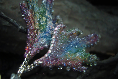 "Крылышки феи Рассветного сада", крупные серьги с капельками