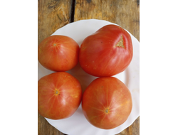 Томат Купола Вологодской Софии