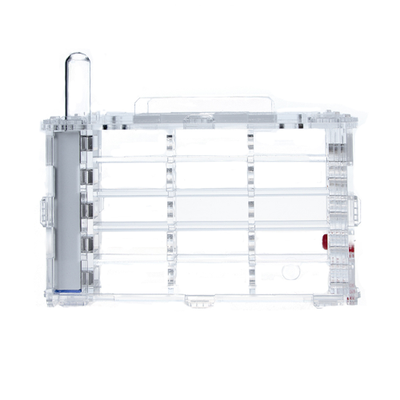 Комплект муравьиной фермы 4ants Crystal L 3.0  с муравьями Messor Structor