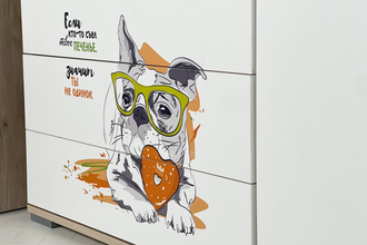 Комод ЗОО  26.01  (1050х418х724)