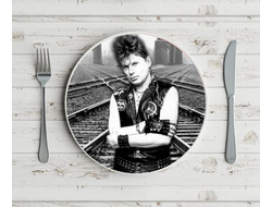 Тарелка Сектор Газа, Юрий Хой №23