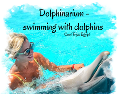 DOLPHINARIUM - SWIMMING WITH DOLPHINS