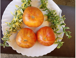 Томат Желтый полосатый Кармеллы (Carmella’s Yellow Stripes)