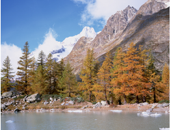 Купить греющую картину с фото лес, озеро, предгорье