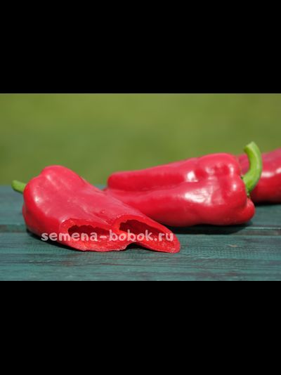 Перец сладкий Соседский (название условное), 10 шт