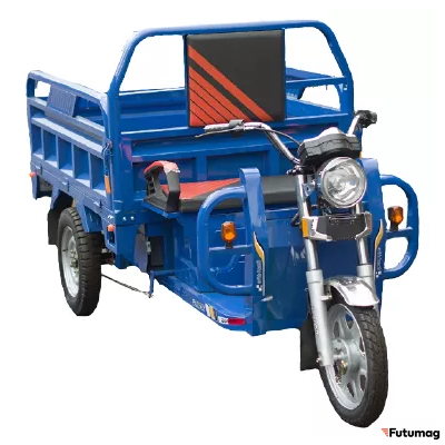 Грузовой электротрицикл TaiLG TL1000