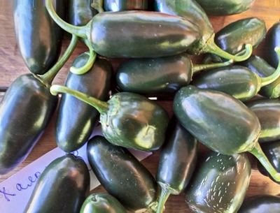 Перец острый Jalapeno Telica