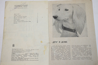 Охотничьи и комнатно-декоративные собаки. М.: Реклама. 1969г.