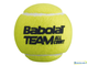 Теннисные мячи Babolat Team All Court x4 (4 мяча)