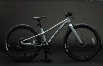 Велосипед TT246/ 9ск 20" серый рама 11"