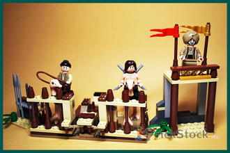 # 7570 Страусиные Бега / The Ostrich Race (2010)